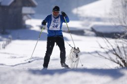 Lenk 2013